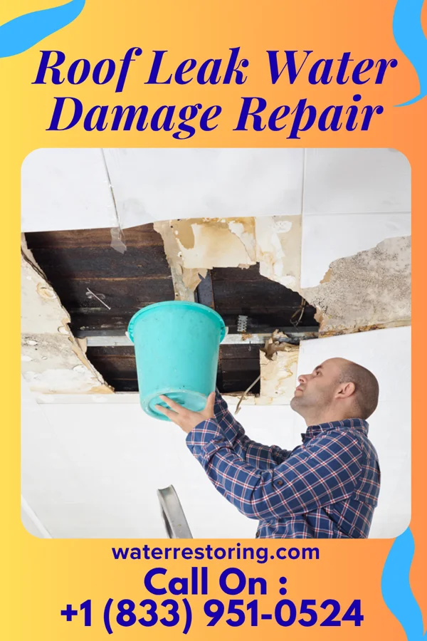 Roof Leak Water Damage Repair in Forgan, OK